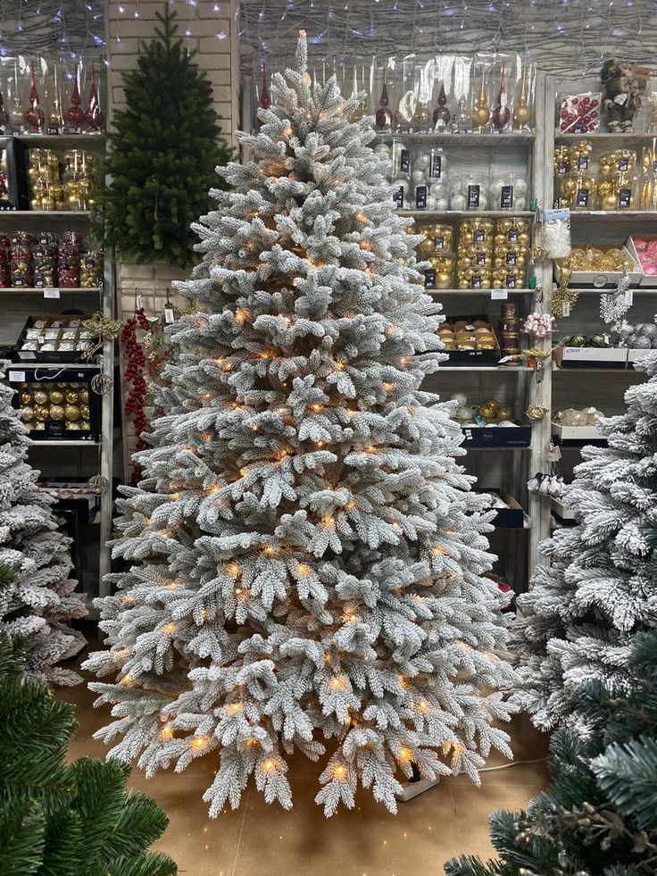 buy christbass tree pallet